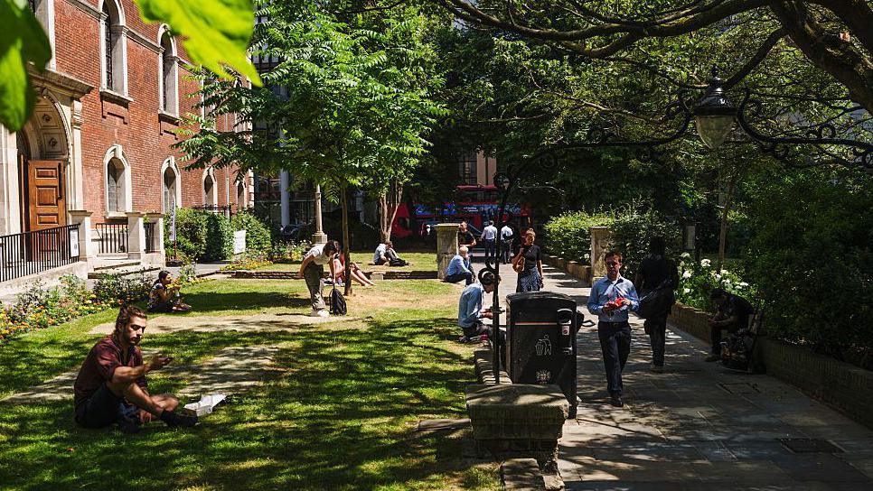 people taking shade from the heat underneath lush green trees