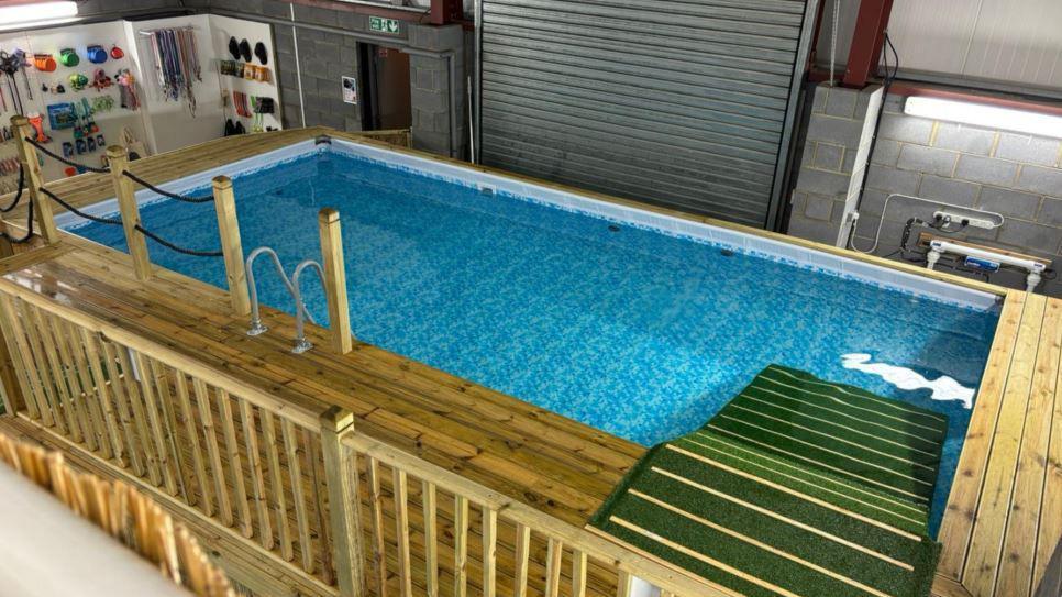 Dog swimming pool