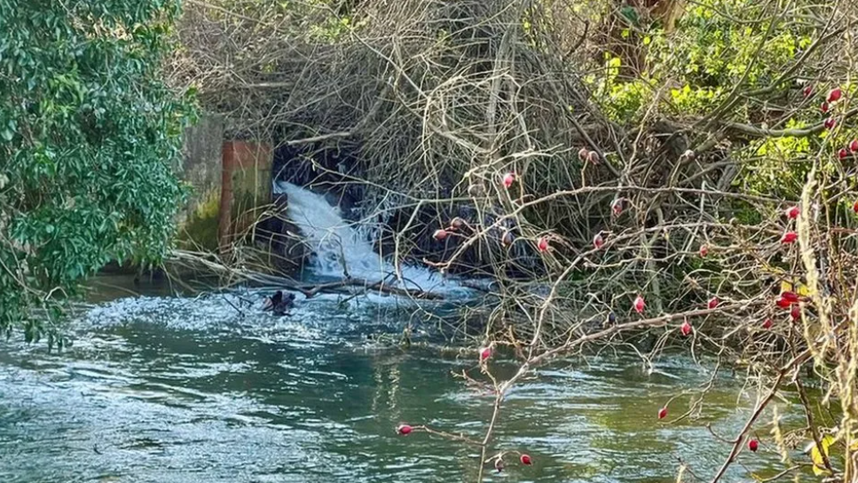 River Coln