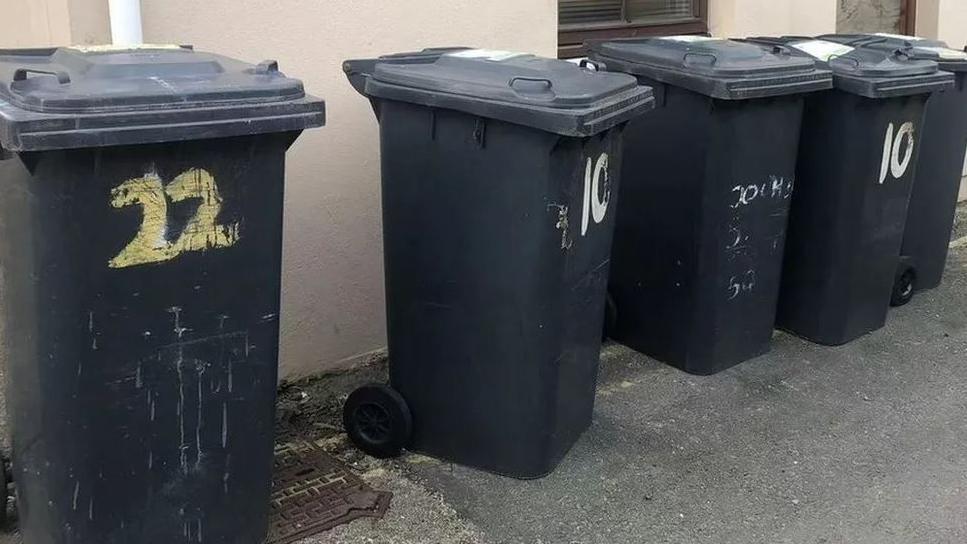 Black wheelie bins are lined up against a wall, some have painted numbers 10 and 22 on them.