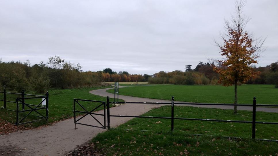 Picture of Drumahoe park showing metal fence and gate leading into the park and grass on either side of a concrete pathway with trees dotted around.
