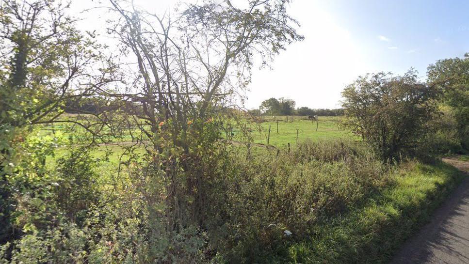 A field with a border of bushes and small trees by a road