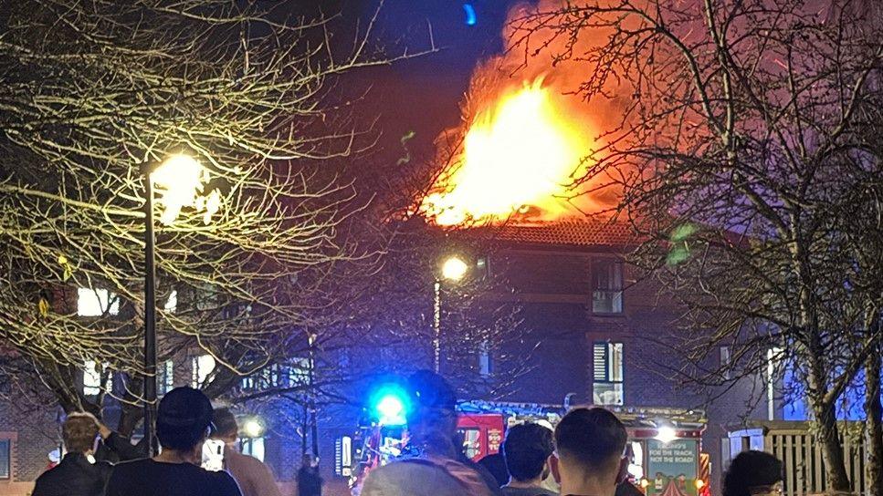 Flames are coming out of the roof of a building. Trees and people with their backs to the camera are in the foreground.