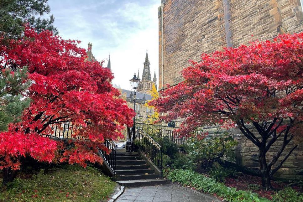 Autumn colours in Glasgow 