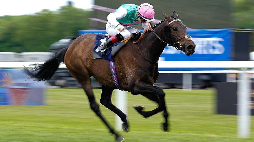 Kalpana in action during the 2026 King George at Royal Ascot