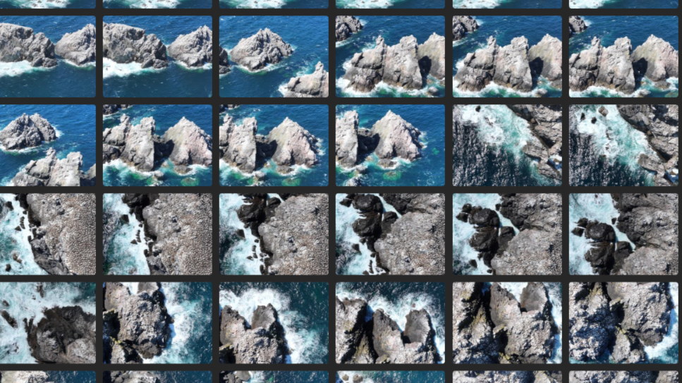 Multiple picture of the rocks which the gannet colonies live 