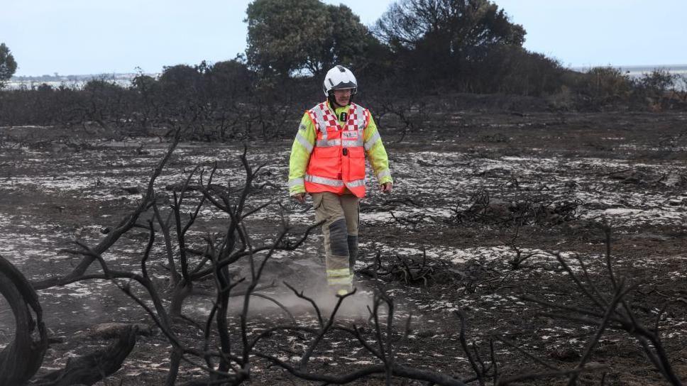A firefighter walks through the charred remains of vegetation and plants on the black ground.