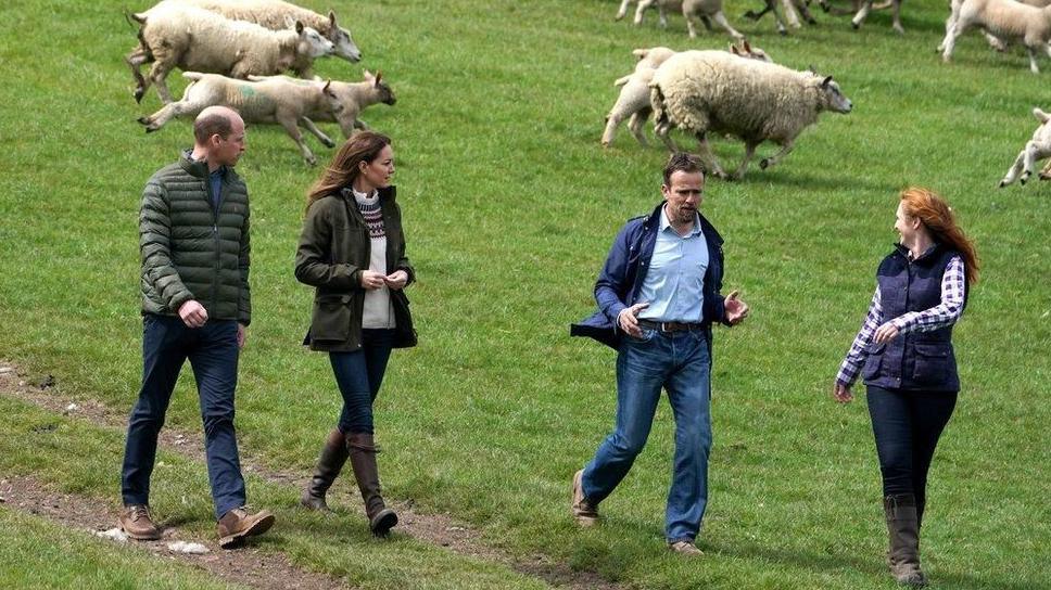 Clare Wise is walking down a hill with the Prince and Princess of Wales, and her husband. Sheep are running in the background.