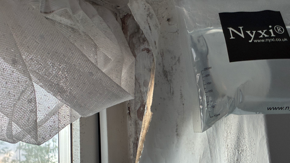 Close up of the top of a window showing damp and cracked walls. On the left, there is white netting hanging. On the right, there is a plastic ball filled with water due to the damp.