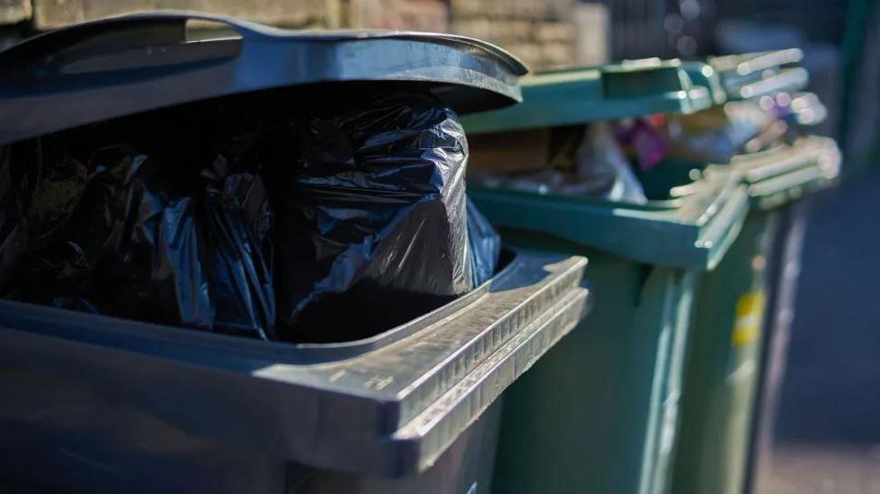 A black recycling bin with its lid open to reveal a black binbag is in the foreground. In the background are two green recycling bins, with bags peeking out of the slightly opened lids.