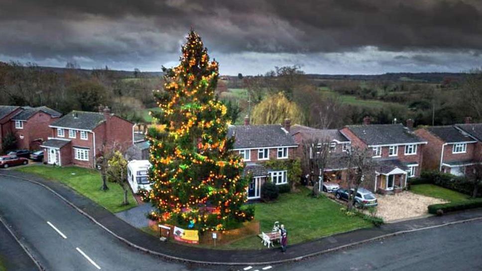 A large green Christmas tree covered in hundreds of Christmas lights stands in a front garden. Other houses in the neighbourhood are pictured in the background.