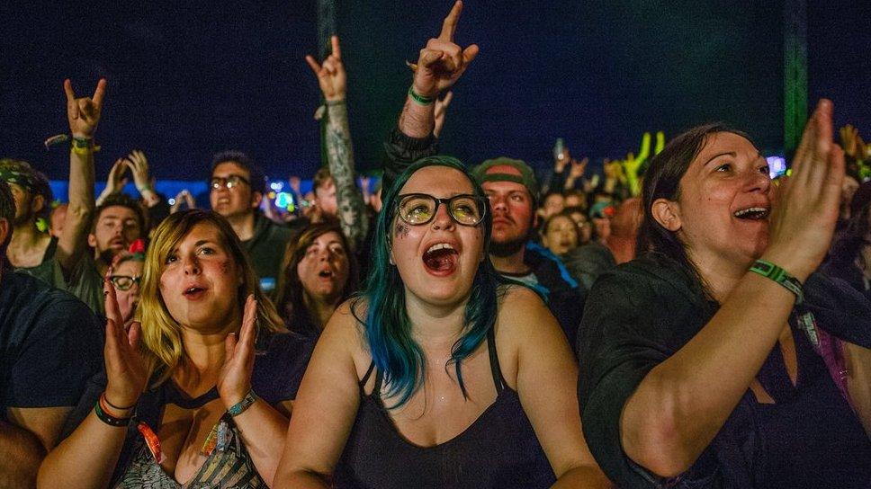 People enjoying an act at the Download Festival