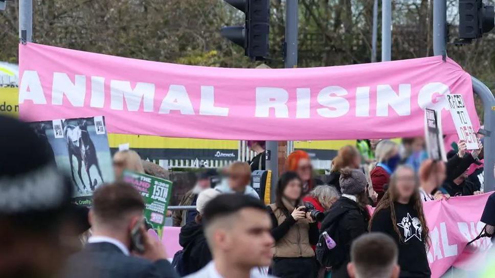 A protest by campaign group Animal Rising, there are lots of people holding pink and white banner which read 'animal rising' and holding placards.