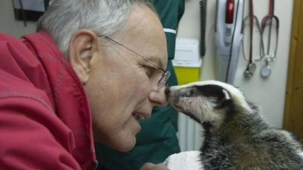 A man with his nose on a baby badger