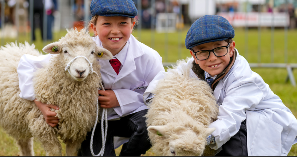 Suffolk Show