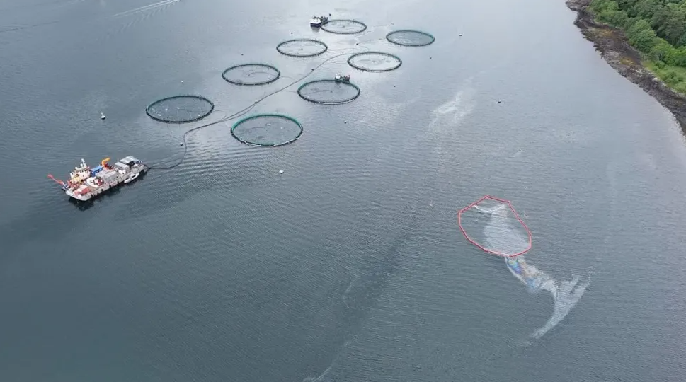 overhead view of fish farm