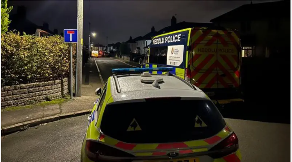 Cerbyn heddlu ym mhentref Rogiet nos Sul