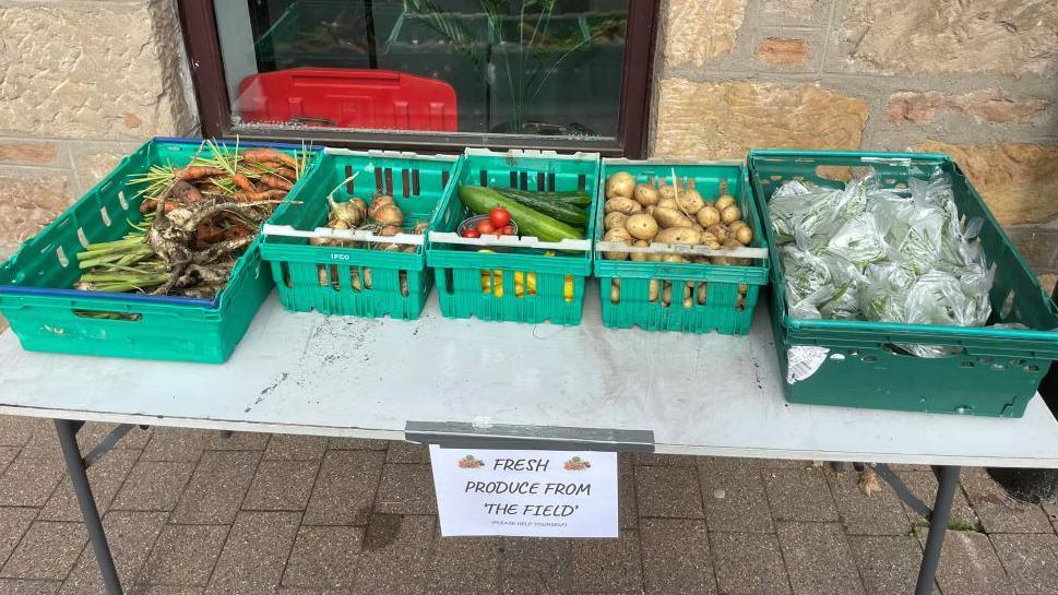 Produce grown at The Field in boxes on a table