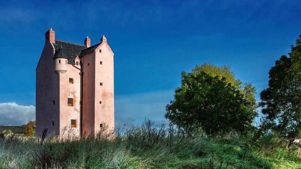Fairburn Tower - a pink tower next to a big tree