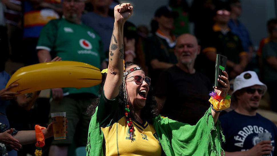 Brazil fan