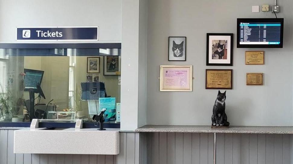 A life-size statue of a black and white cat sitting on a metal plinth. The statue is on a table set against a wall in the booking hall of a train station, between two ticket windows