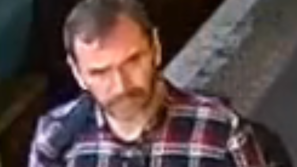 CCTV image of man wanted in connection with a dog attack on a train between Bromley South and Chatham.