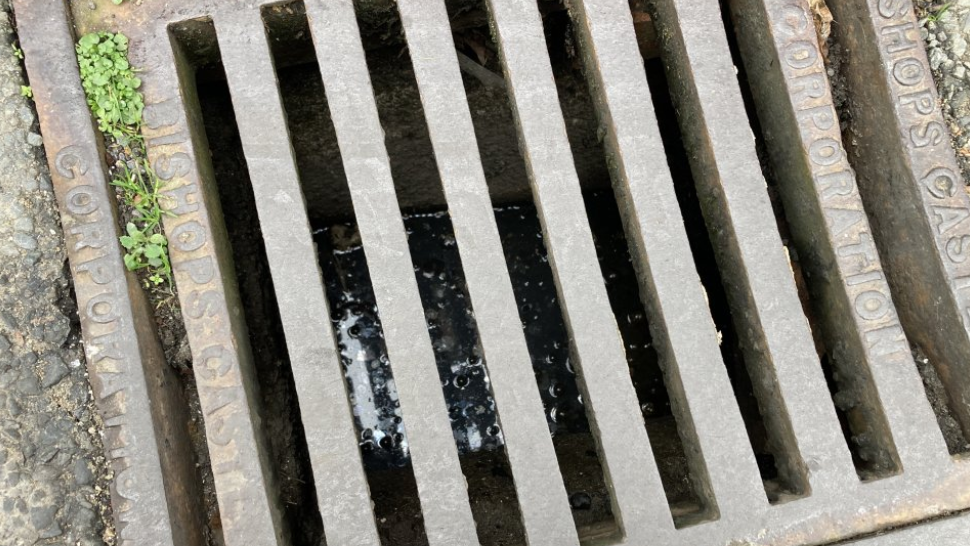 A drain cover with a dark liquid beneath it