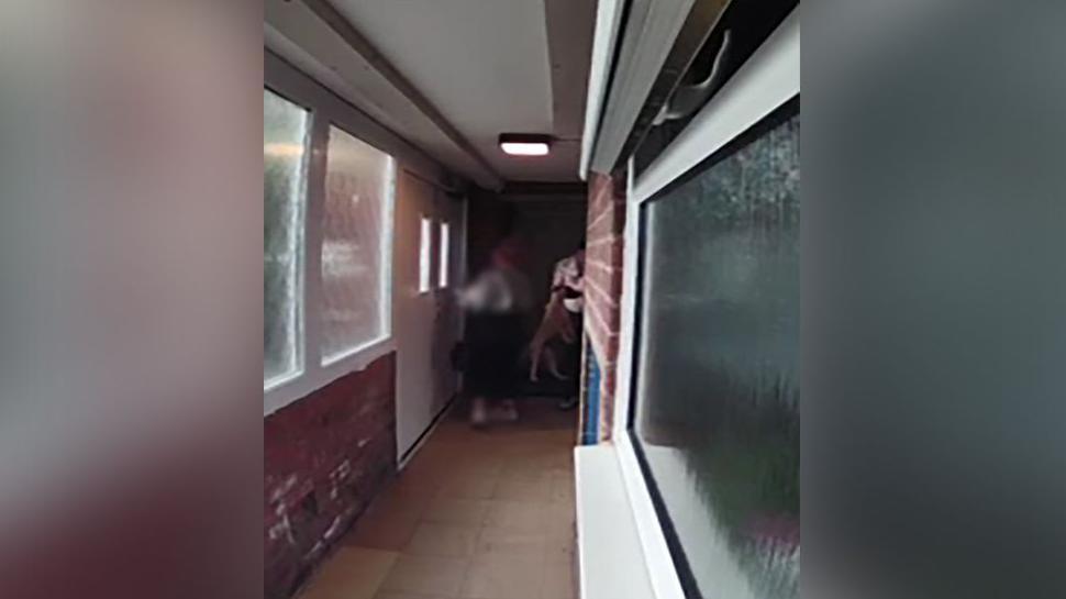Still image taken from doorbell footage of a puppy being held by the scruff of its neck outside a flat.