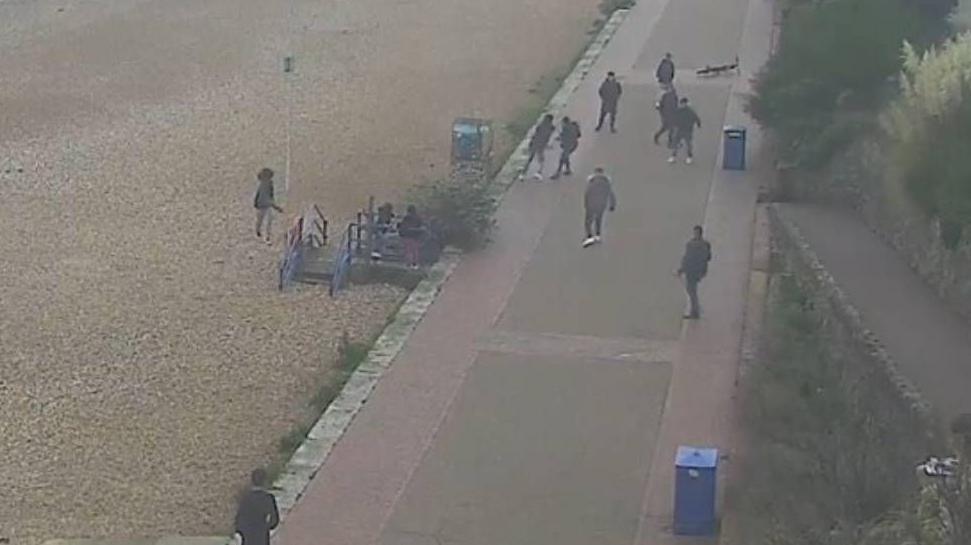 CCTV image of a large group of people on Eastbourne Promenade. Everyone is looking in the same direction, away from the camera. There are peddles on one side and bushes on the other. 