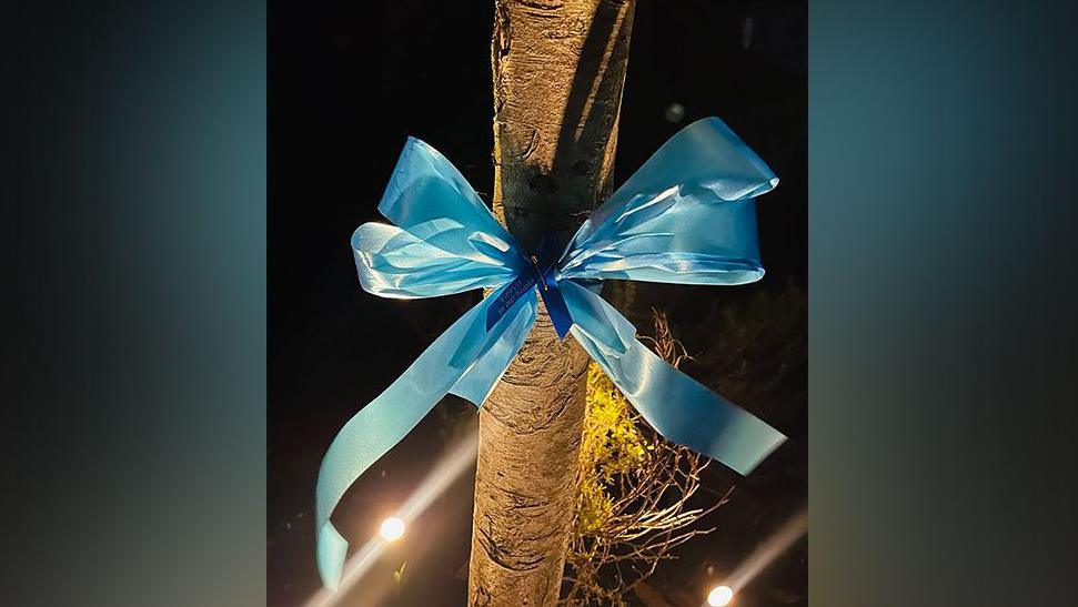 Pale blue forget-me-knot coloured bows are tied to a tree.