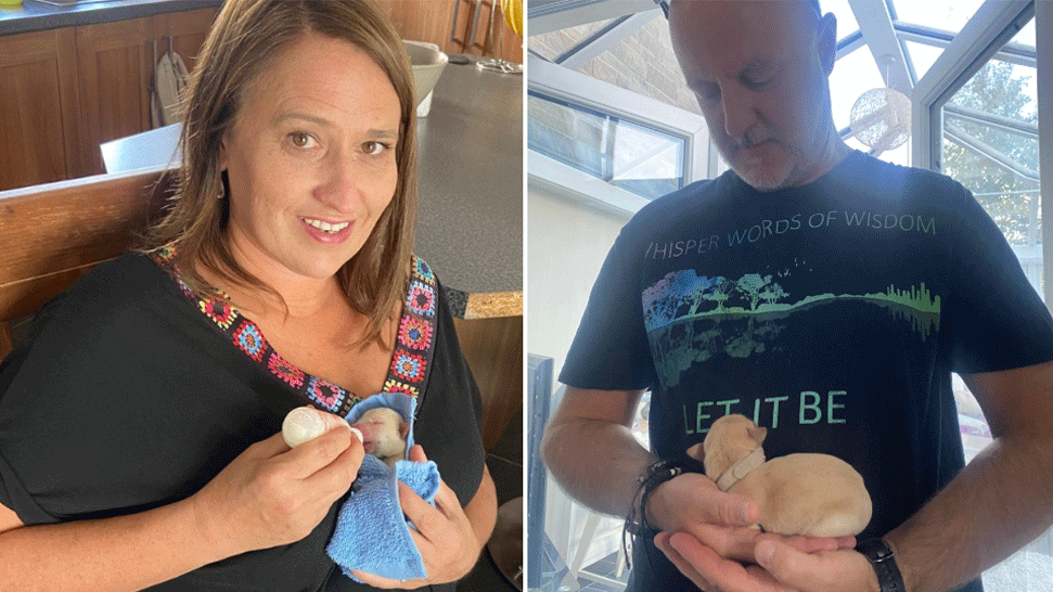A composite image of two people holding a puppies. The woman on the left looks at the camera and has light brown hair and is wearing a black dress with a colourful flowery neckline. She holds a puppy in a blue towel and feeds it with a little milk bottle. The man on the right has a grey, stubbly beard and black t-shirt. 