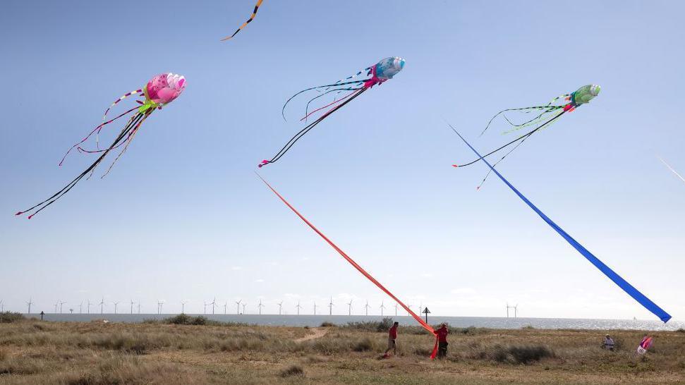 Kites being flown above the beach on Jaywick Sands.