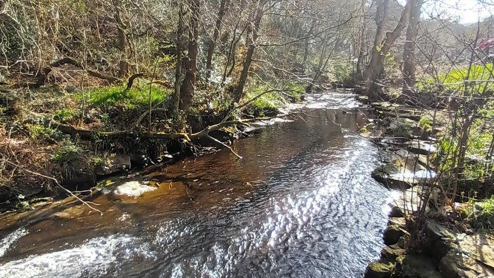 Luddenden Brook. Two grassy banks with a river running between them. The water has a brown tint.