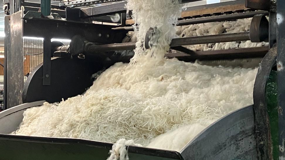 Sheep fleece processing