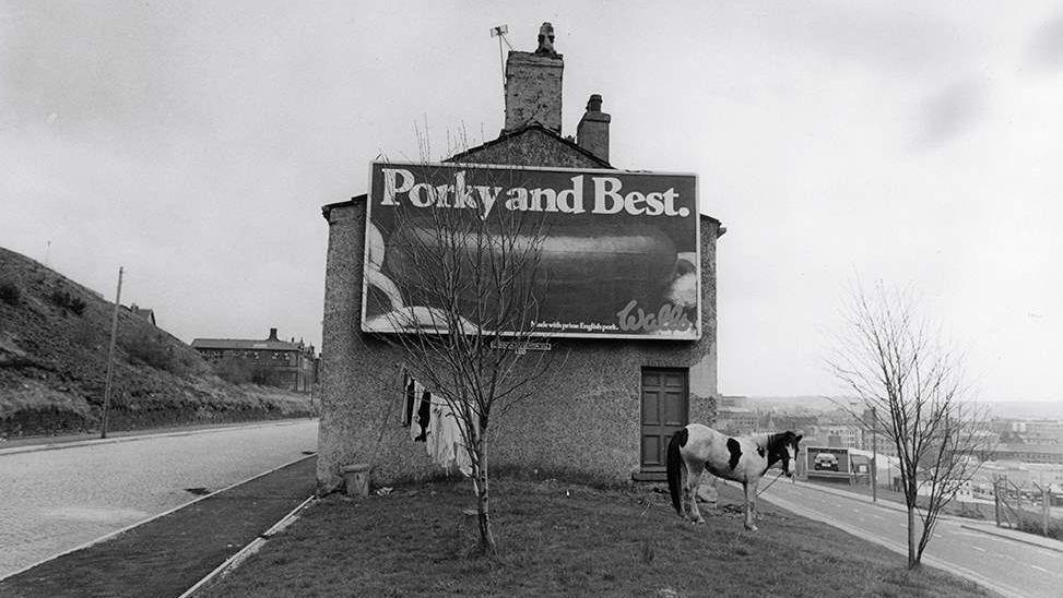 A black and white photo of a horse tethered on grass in front of the gable end of a house with an advertising poster on it with the slogan 'Porky and Best'.