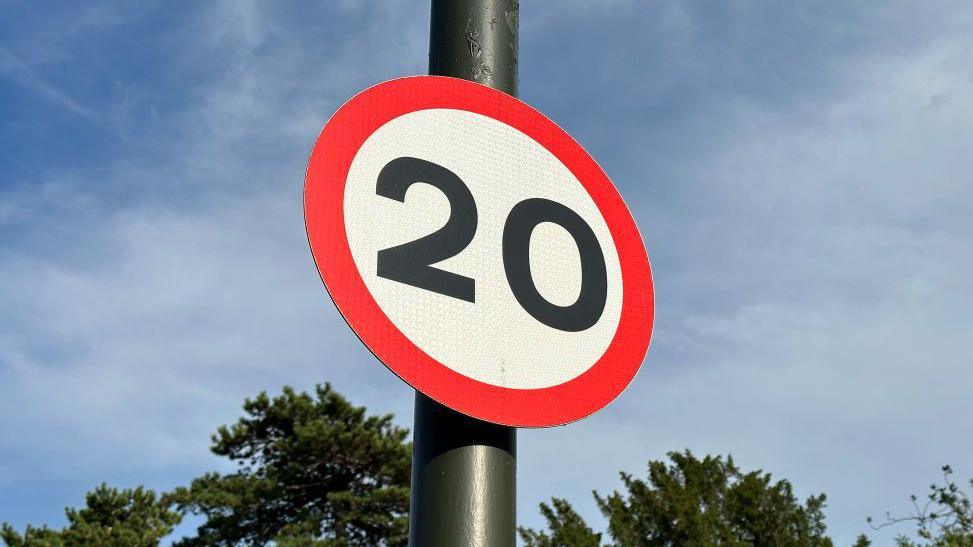 The image shows a circular sign with a red outer ring and a white centre, with the number 20 written in black. The sign is attached to a dark pole seen against a blue, slightly cloudy sky. Tree branches can also be seen in the lower section of the image.