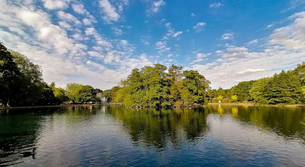 Scenic picture of a lake surrounding trees in West Park, Wolverhampton 