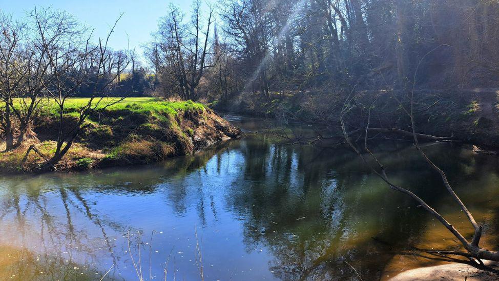 A river with a green bank to one side. There are a number of trees surrounding the water.