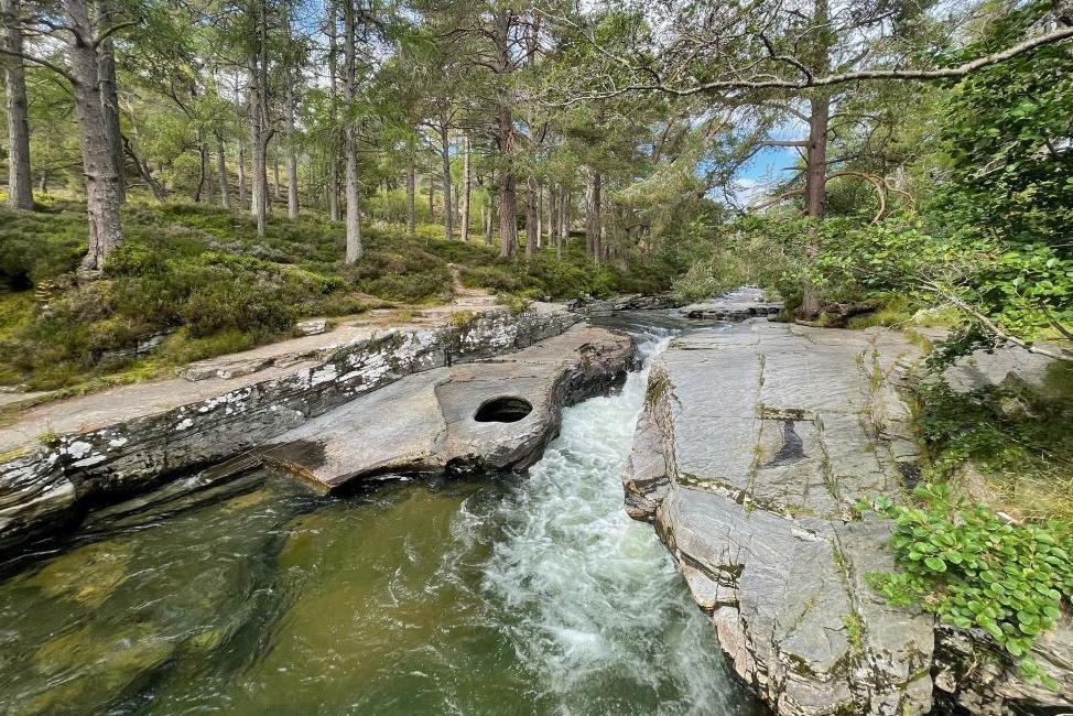 A river running through rocks in an area of forestry near Braemar