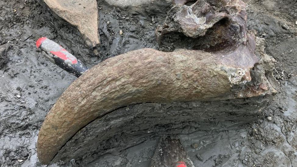 More artefacts found at Cerney Wick quarry