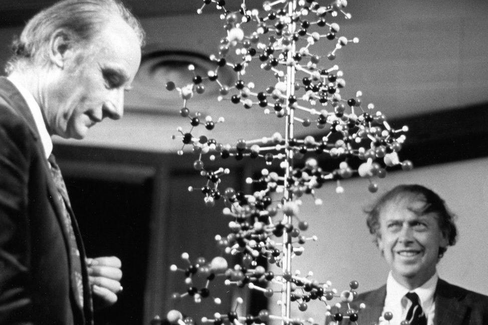 Francis Crick and James Watson