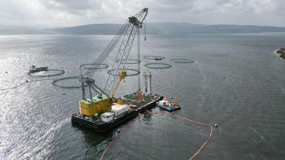 A floating crane with salmon farm cages behind it