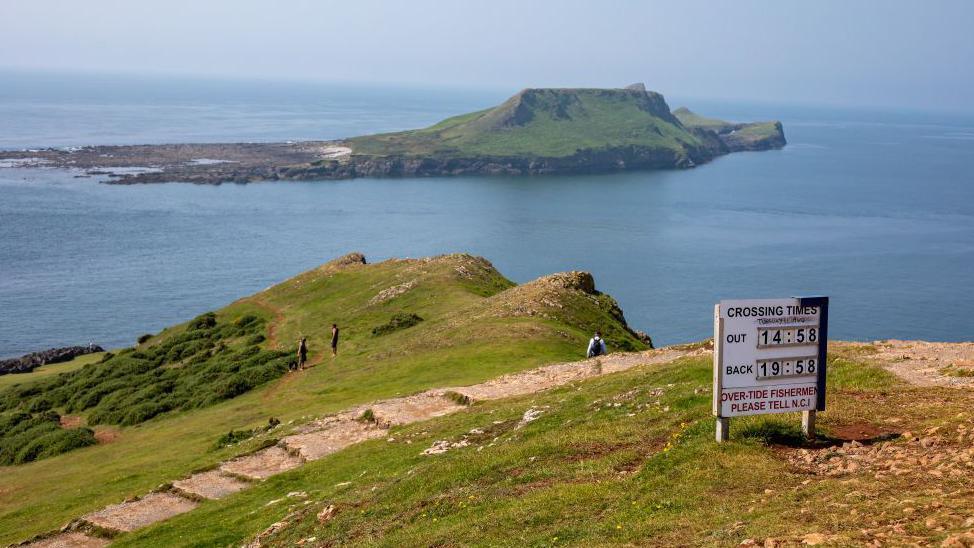 Worm's Head in the distance surrounded by water. In the forefront is the green mainland with a sign displaying timings on it.