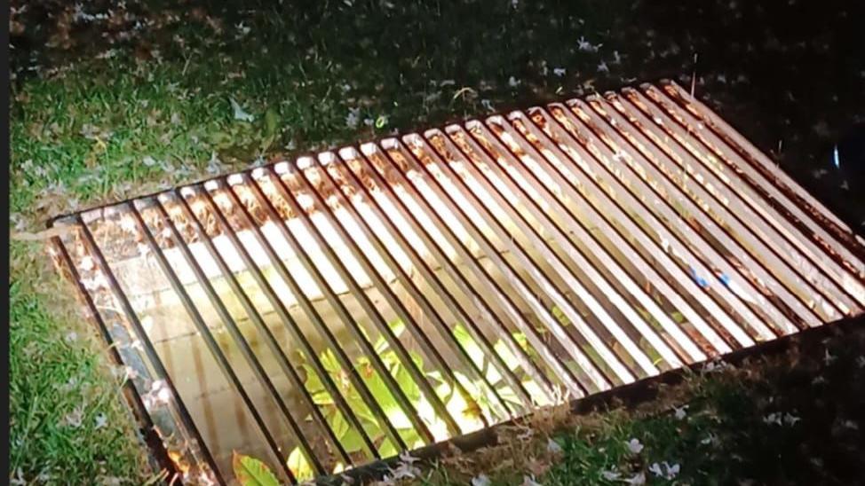 A ground-level light grille illuminates a tree at night in a park, surrounded by grass and fallen leaves.