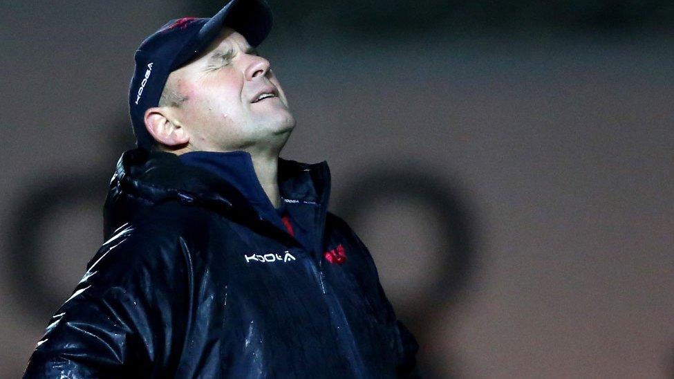 Scarlets coach Wayne Pivac looks to the heavens