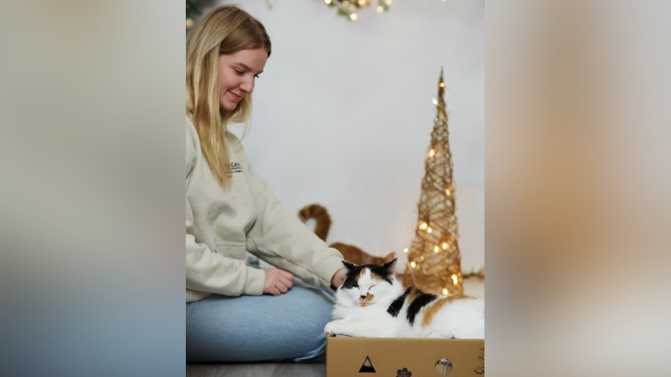 Blonde woman kneels next a happy cat in a cardboard box.