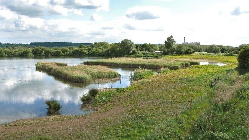 Attenborough Nature Reserve