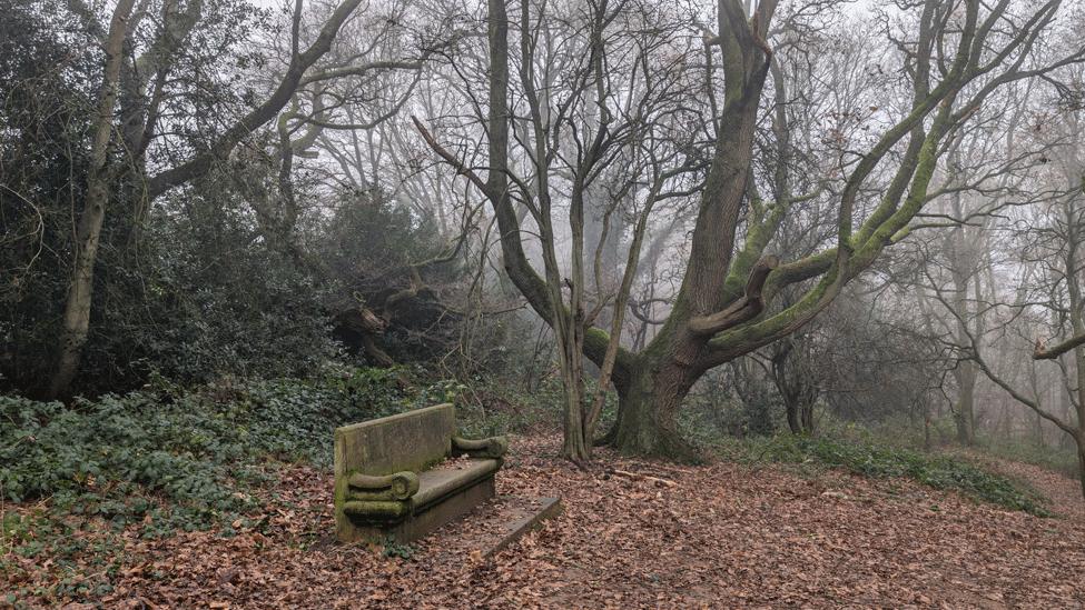 A very old stone bench sits in a clearing covered in brown leaves. Bare trees can be seen, their jagged branches reaching up to the sky.