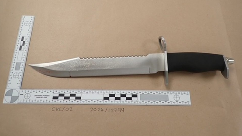 A police evidential image of a zombie knife, next to rulers revealing its large size and serrated edges.