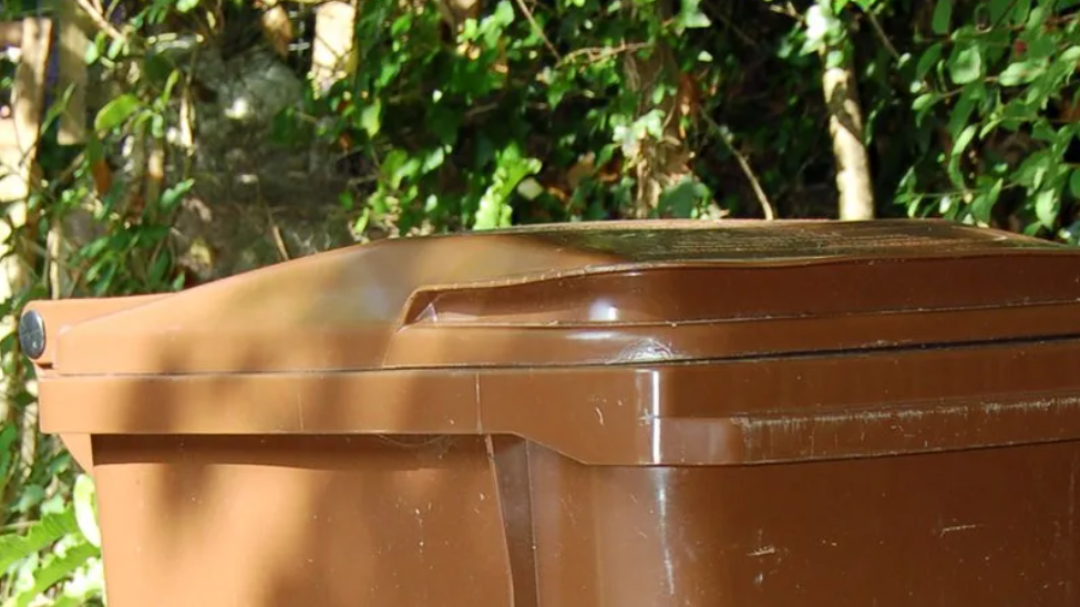 An assortment of waste on the street, including brown bins and plastic recycle. There are two brown bins visible and plenty of plastic sacks. It appears to be a sunny morning.